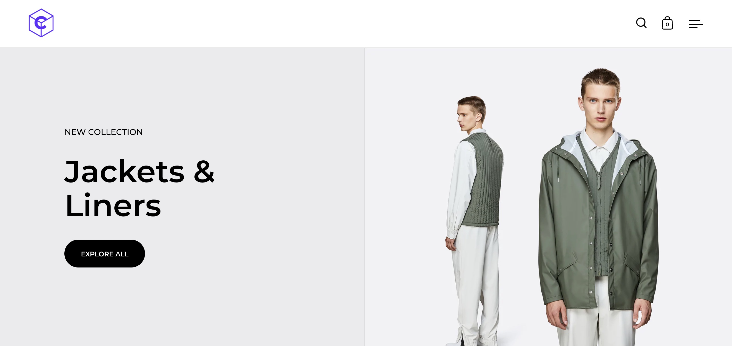 shopify fashion paid theme