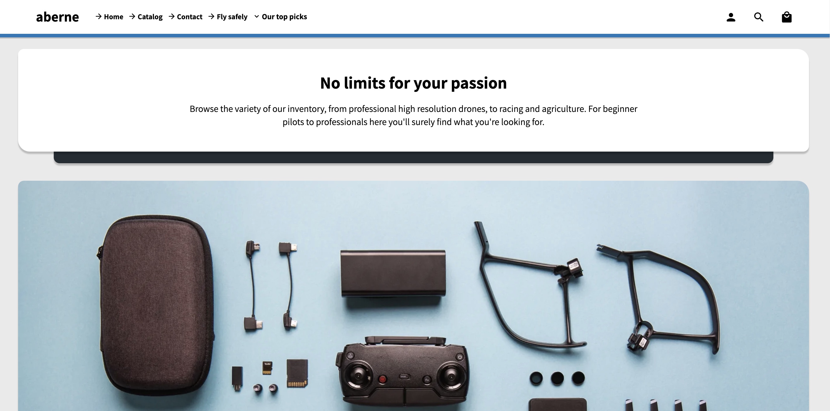 shopify themes for service business